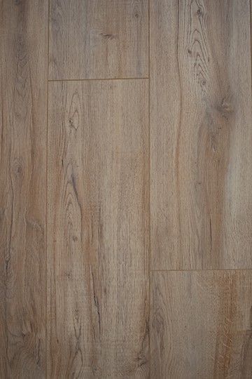 Nature oak